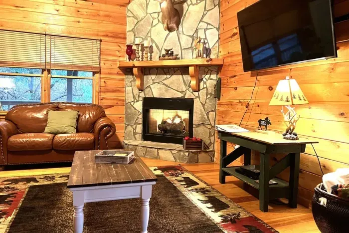 Livingroom Cabin 1