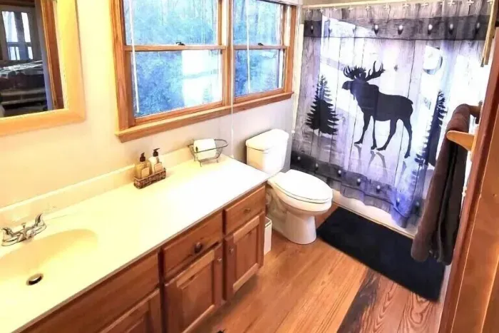 Master Bathroom Cabin 1