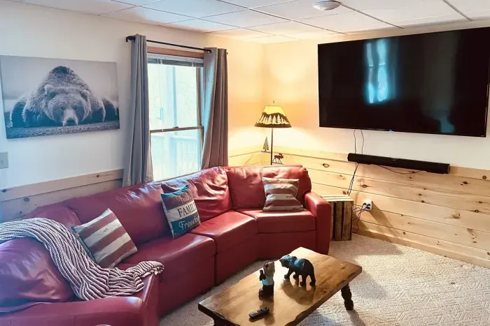 TV Rec Room lower level Cabin 1