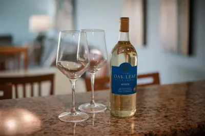 complimentary wine