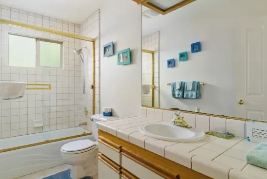 Downstairs hall bath