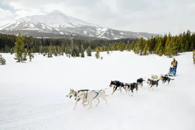 487 Autumn Trail - image 61 of 61