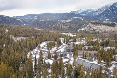 Blue Flax - image 12 of 58