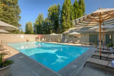 Blue Flax - image 58 of 58