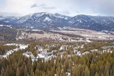 Blue Flax - image 13 of 58