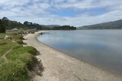 Quiet shoreline with calm waters and grassy edges.