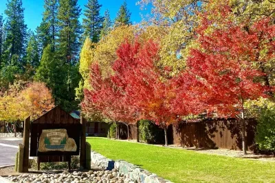 The Gingerbread House | Sauna, HotTub, Lake Access - image 101 of 102