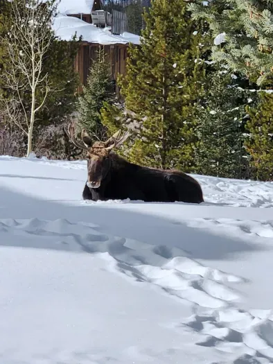 20241206031909262791000000-o