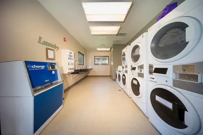 20241206031911370236000000-o