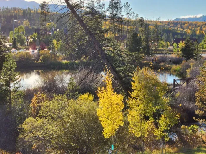 20241206031908837959000000-o