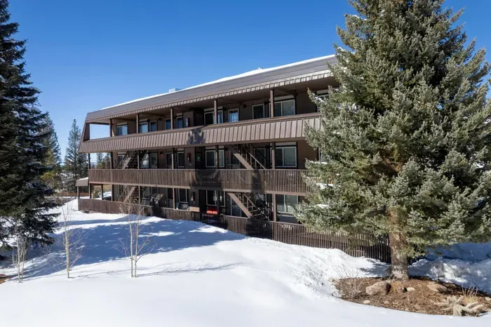 20241206031909436877000000-o