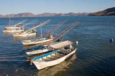 fishing-boats