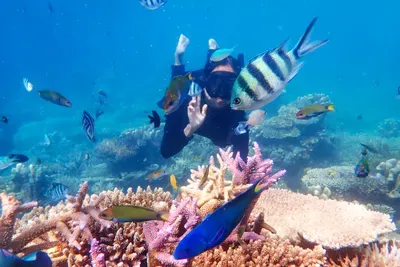 underwater-scuba luxury vacations retreat