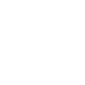 SKIER (1)