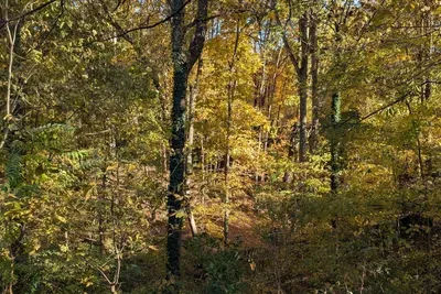 Quiet 2BR near USI and Burdette Park