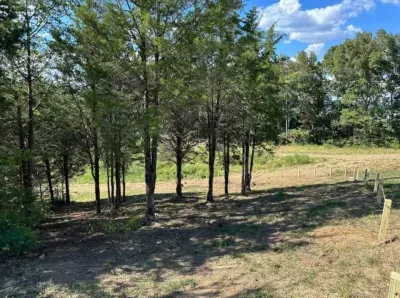 Private hiking trails in Lake Haven.  Step outside and explore peaceful wooded trails right in the community—perfect for morning walks and sunset strolls.