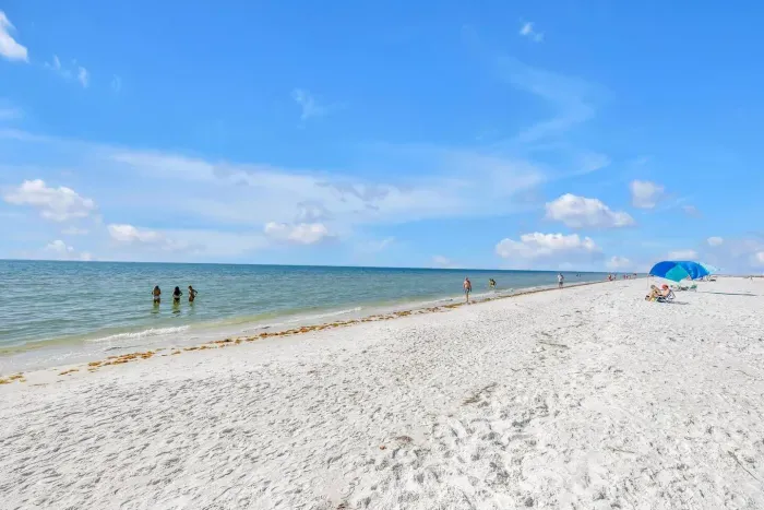 Beachfront Paradise: Stroll the stunning shores of Siesta Key and soak up the sun!