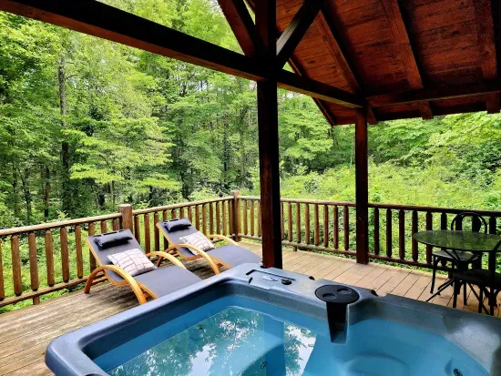 Lazy Bear Cabin