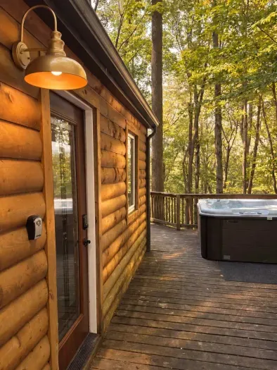 Romantic Secluded Log Cabin: Hot Tub, Movies - image 12 of 42