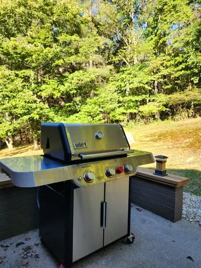 Spacious Lodge with Stocked Pond, Hot Tub, Games - image 31 of 38