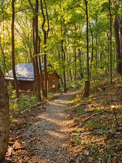 Romantic Log Cabin in the woods:Hot Tub, Fireplace - image 7 of 24