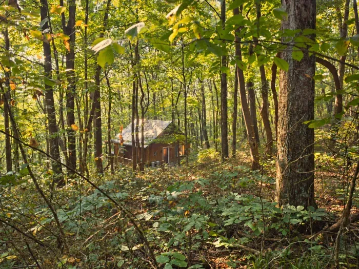 Romantic Log Cabin in the woods:Hot Tub, Fireplace - image 24 of 24