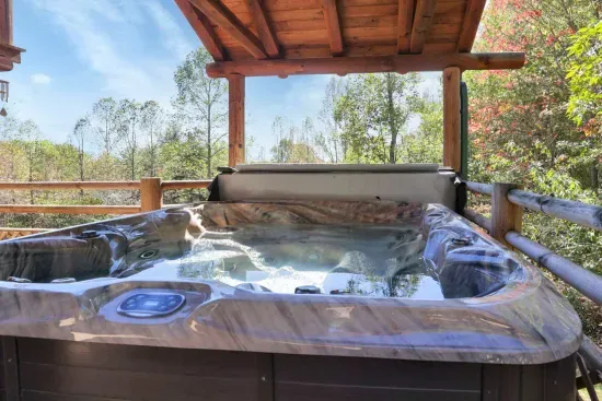 Treetop View Lodge