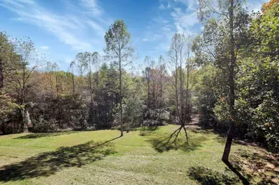 Treetop View Lodge - image 41 of 45