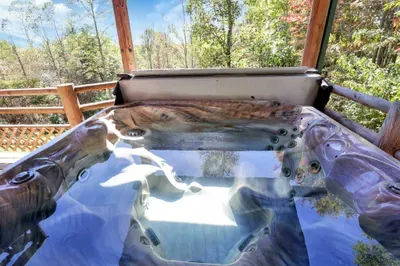 Treetop View Lodge - image 38 of 45