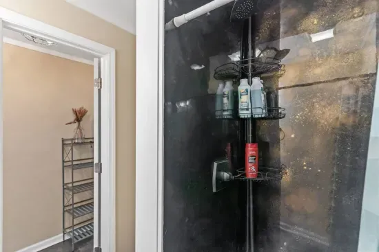 Master suite shower