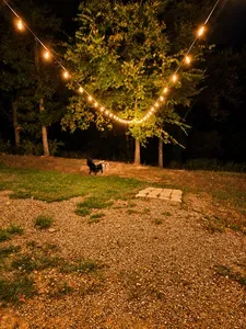 Cozy outdoor retreat with glowing string lights and wooded charm