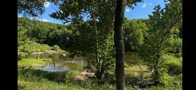 Kids swimming