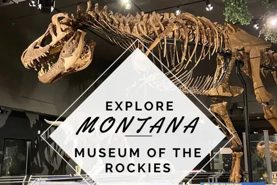 The Museum of the Rockies is a renowned natural history & paleontological museum & a Smithsonian Affiliate. The museum features a planetarium, a living history farm, & changing exhibits from around the world.
11 mi from The Cabins at Wheat Ridge Farm