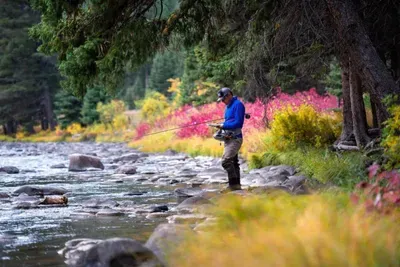 Fly fish the Gallatin River for classic Montana beauty and trout-filled waters. This iconic blue-ribbon stream winds through canyons and meadows, offering peaceful spots to cast and connect with nature. Access as close as 2 miles from The Cabins