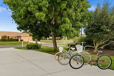 Bicycles and Mango Tree: Explore Marco Island's beauty on our charming bikes—adventure awaits!