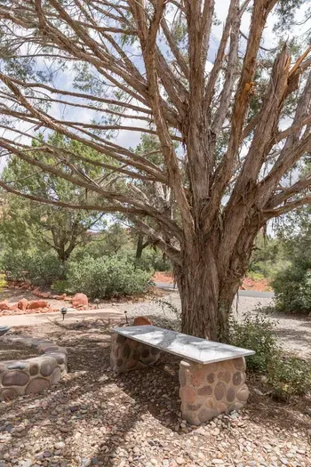 Front walkway. The home is located on several small energy vortexes. You can tell this by a feeling of peace and calm, as well as some trees can get gnarled as well.