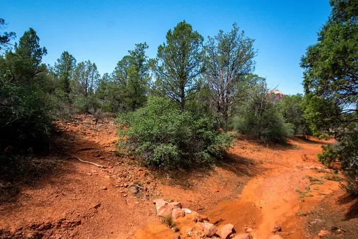 Trailhead a few hundred feet from the front door