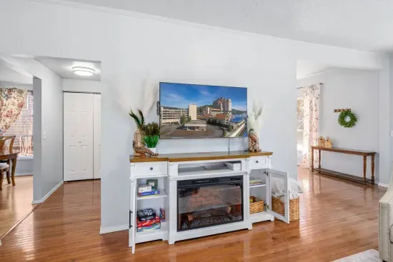 Living Room 1