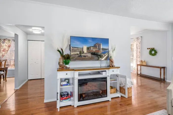 Living Room 1
