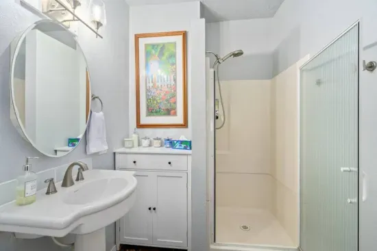 Downstairs bath: Walk-in shower, soap bars, blow-dryer, PooPourri spray, Neutrogena individually packaged makeup remover towelettes, cotton balls, Q-tips, shampoo, conditioner, lotion and body wash provided, first aid kit