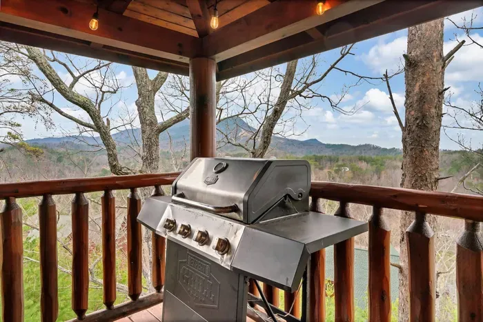 We provide the propane for each guest.