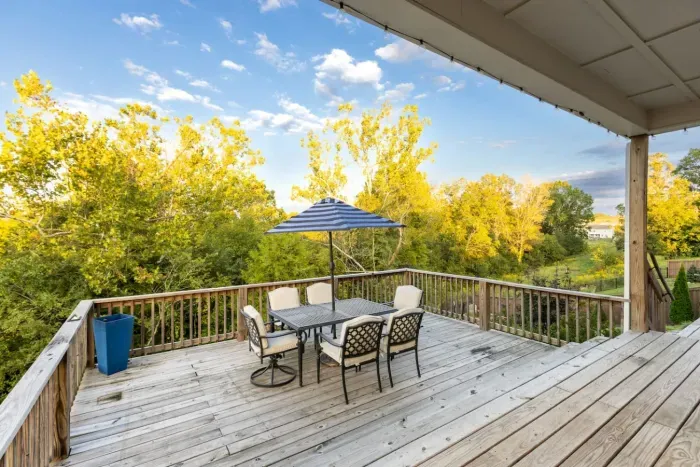 Back Deck I Outdoor Dining Area I Hammock I Gas Grill