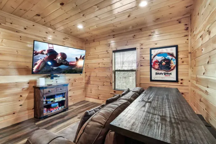 Media Room w/ Queen Sleeper