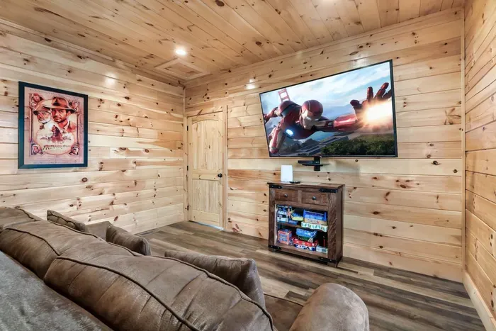 Media Room w/ Queen Sleeper