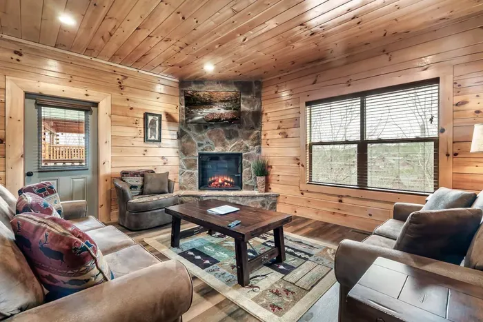 Cozy living room I Electric Fireplace I Flat Screen TV