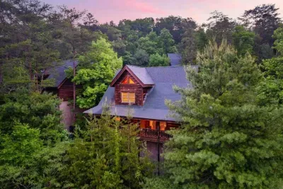 Twins Treehouse - image 19 of 40