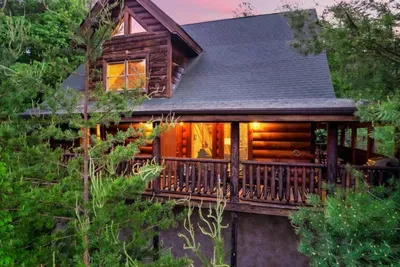 Twins Treehouse - image 18 of 40