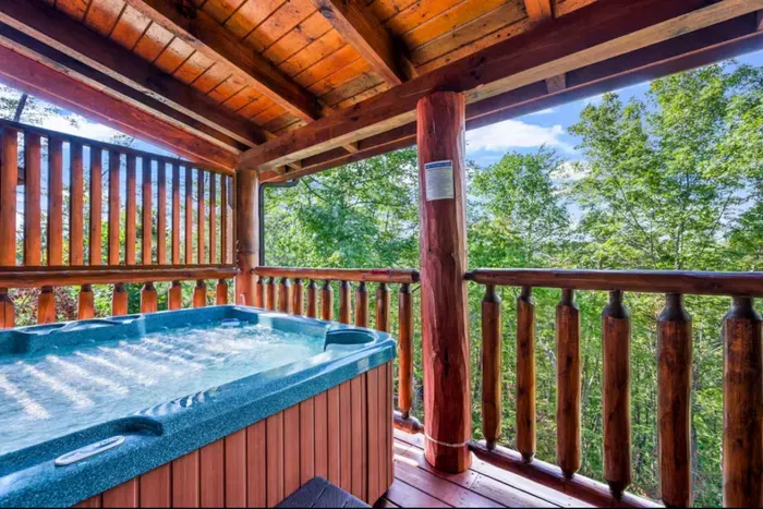 Jacuzzi on the back deck