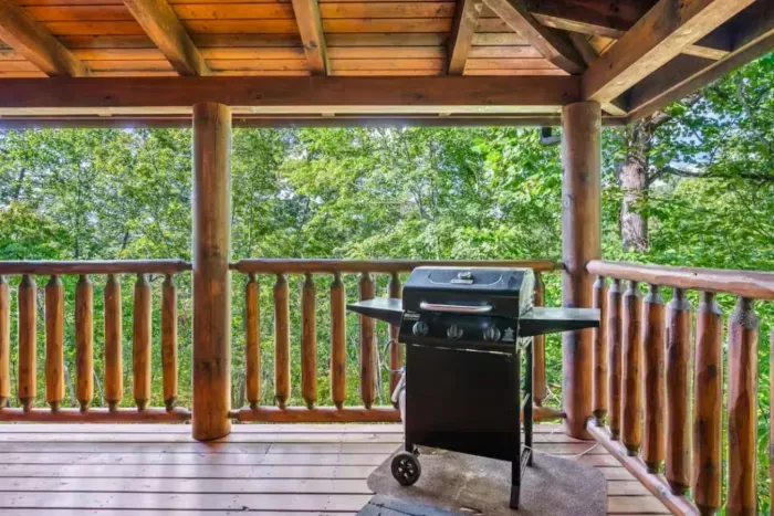 We provide the propane just bring the steaks!