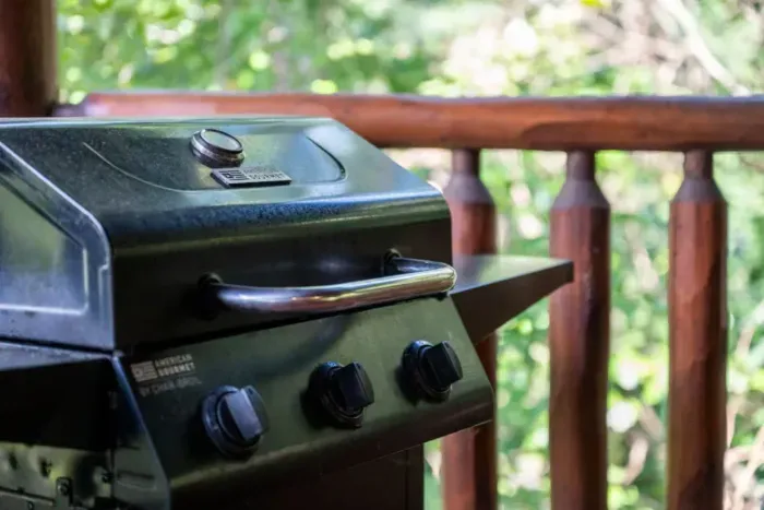 We provide the propane just bring the steaks!